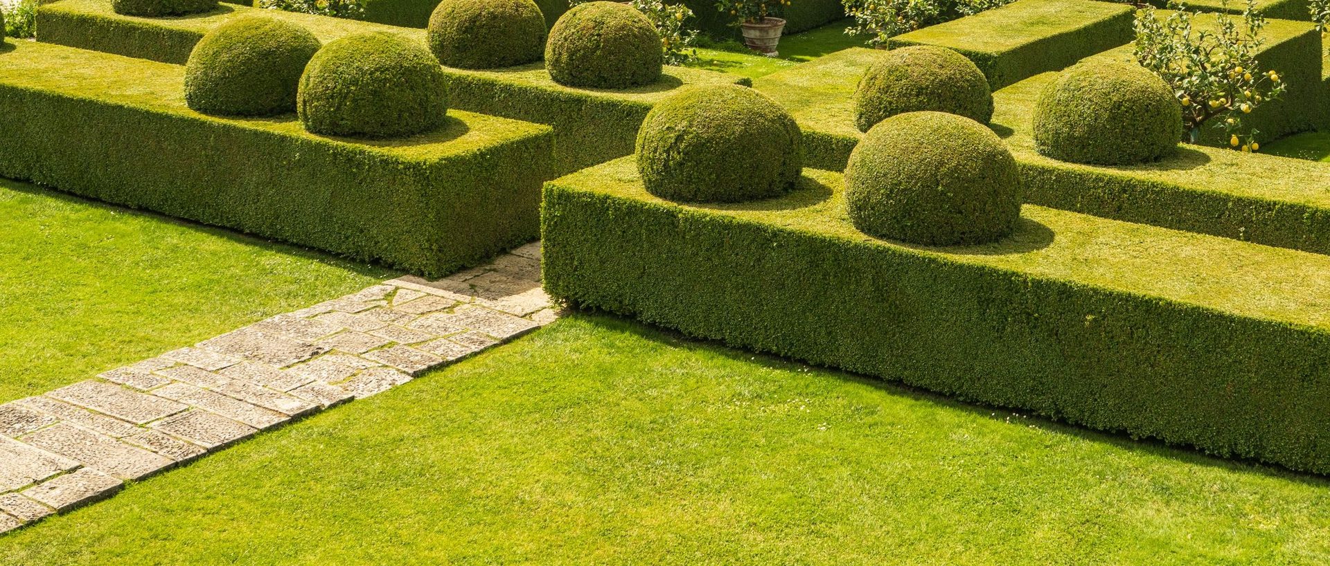 A formal box parterre of crisply clipped hedges and boxwood domes framing panels of mown lawn, with a stone-flagged path running through it