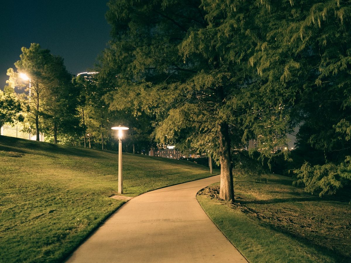 A curving path through a lawned park at night, lit by a post light, with a large conifer glowing warm above the grass