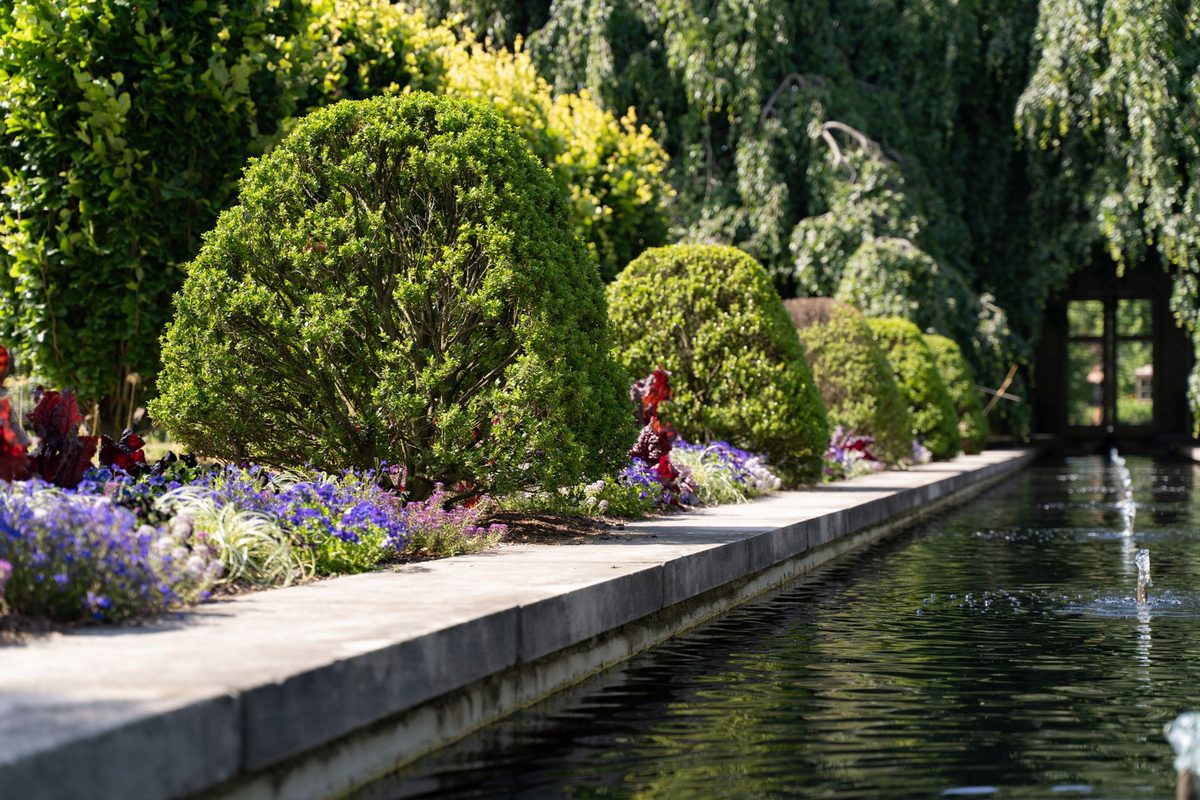 A long reflecting pool with a fountain jet beside a row of clipped boxwood domes underplanted with purple, red and white bedding flowers
